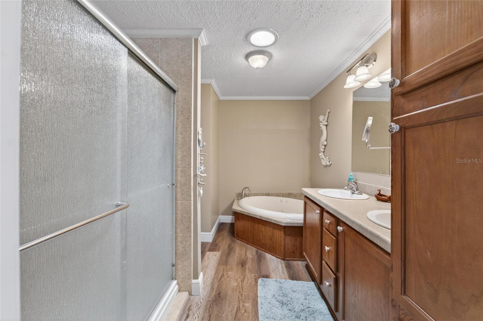 Master en-suite bath - 10039 STERLING AVE, DADE CITY