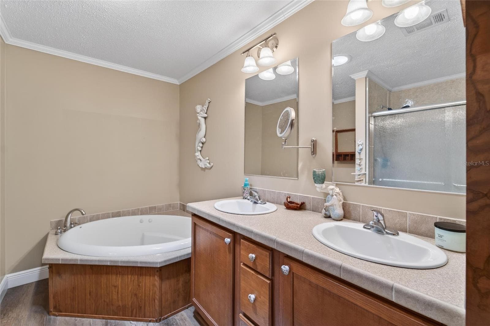 Master en-suite bath - 10039 STERLING AVE, DADE CITY