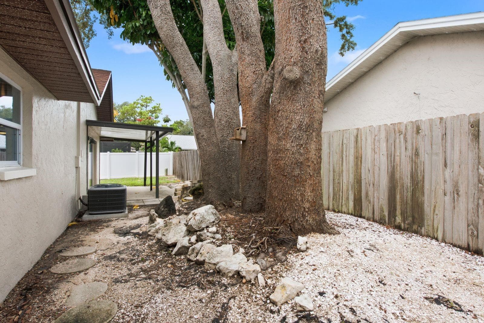 A little Florida nature right in your backyard. - 12620 115TH ST, LARGO
