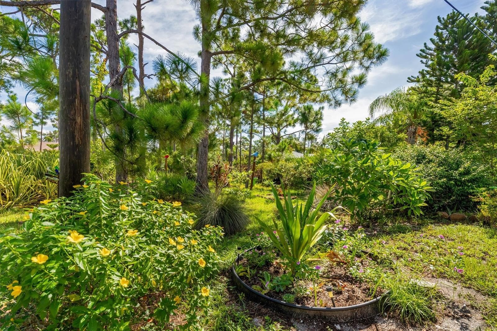 Back half acre - 5424 ANDERSON RD, PORT CHARLOTTE