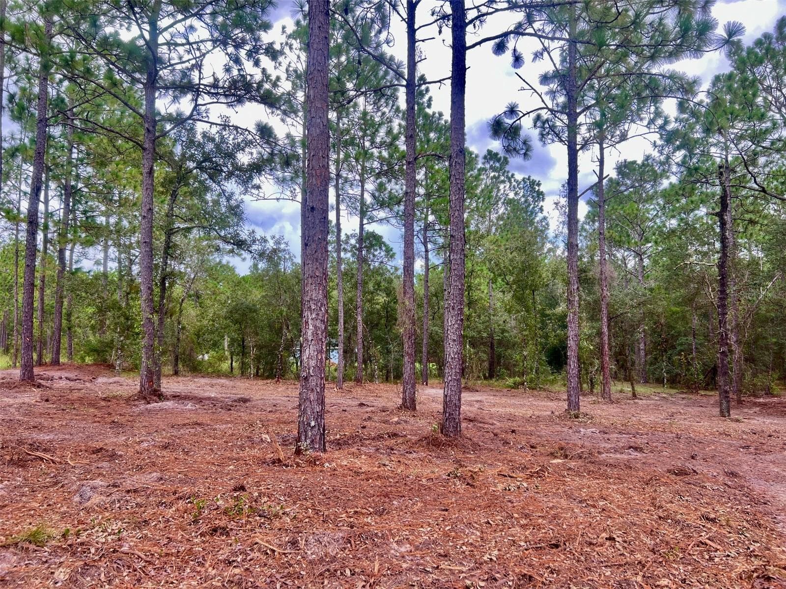 Land at 16 SW ANCHOR BLVD, DUNNELLON, photo 5 of 15