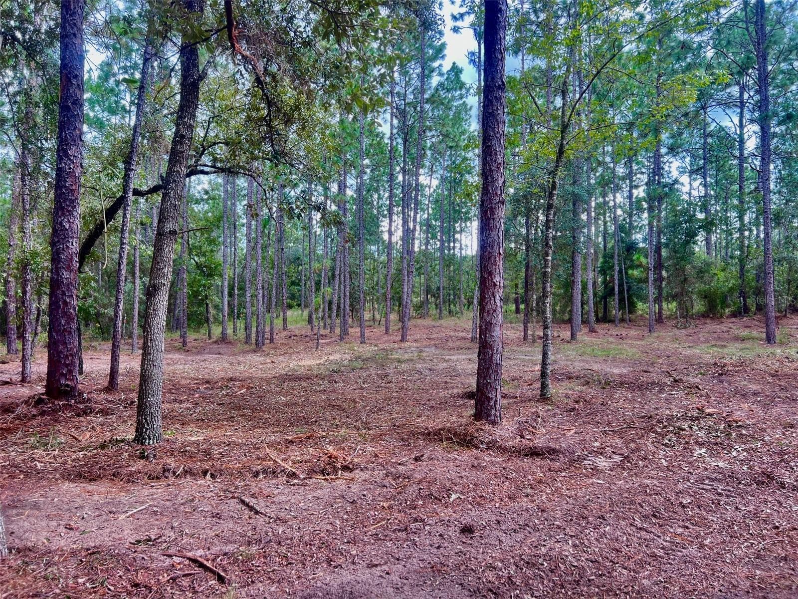 Land at 16 SW ANCHOR BLVD, DUNNELLON, photo 7 of 15