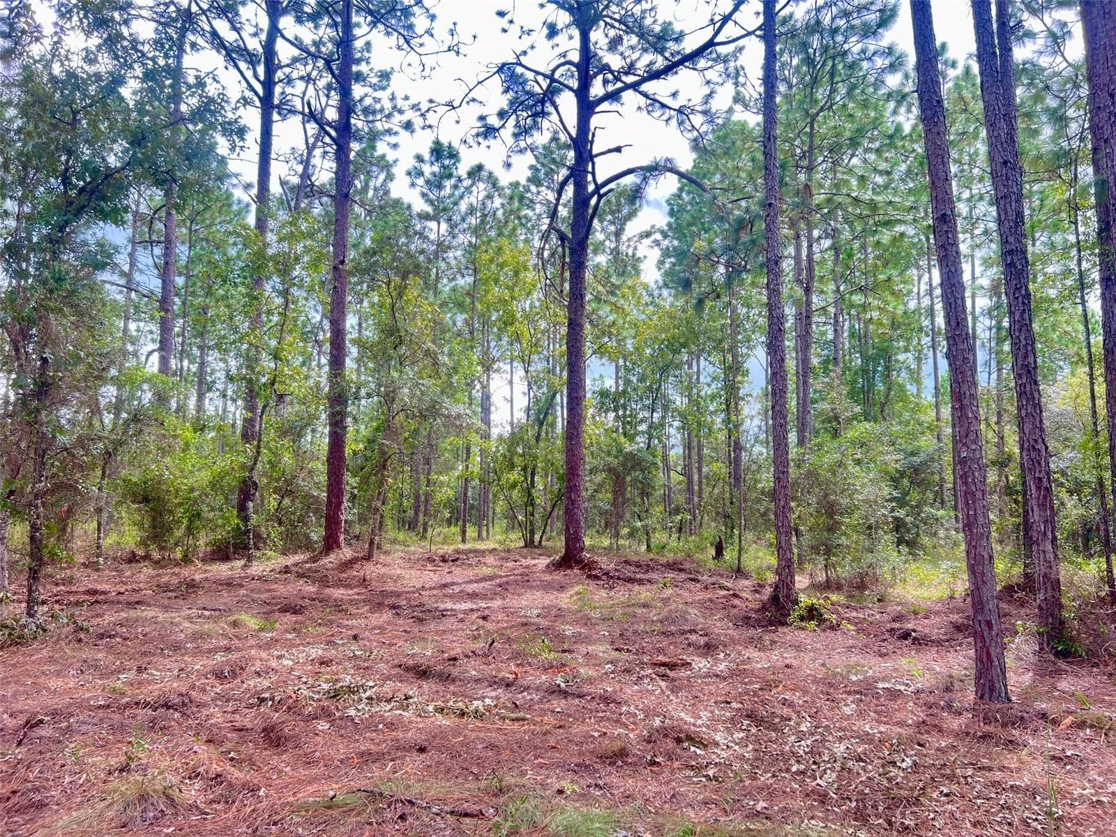 Land at 16 SW ANCHOR BLVD, DUNNELLON, photo 9 of 15