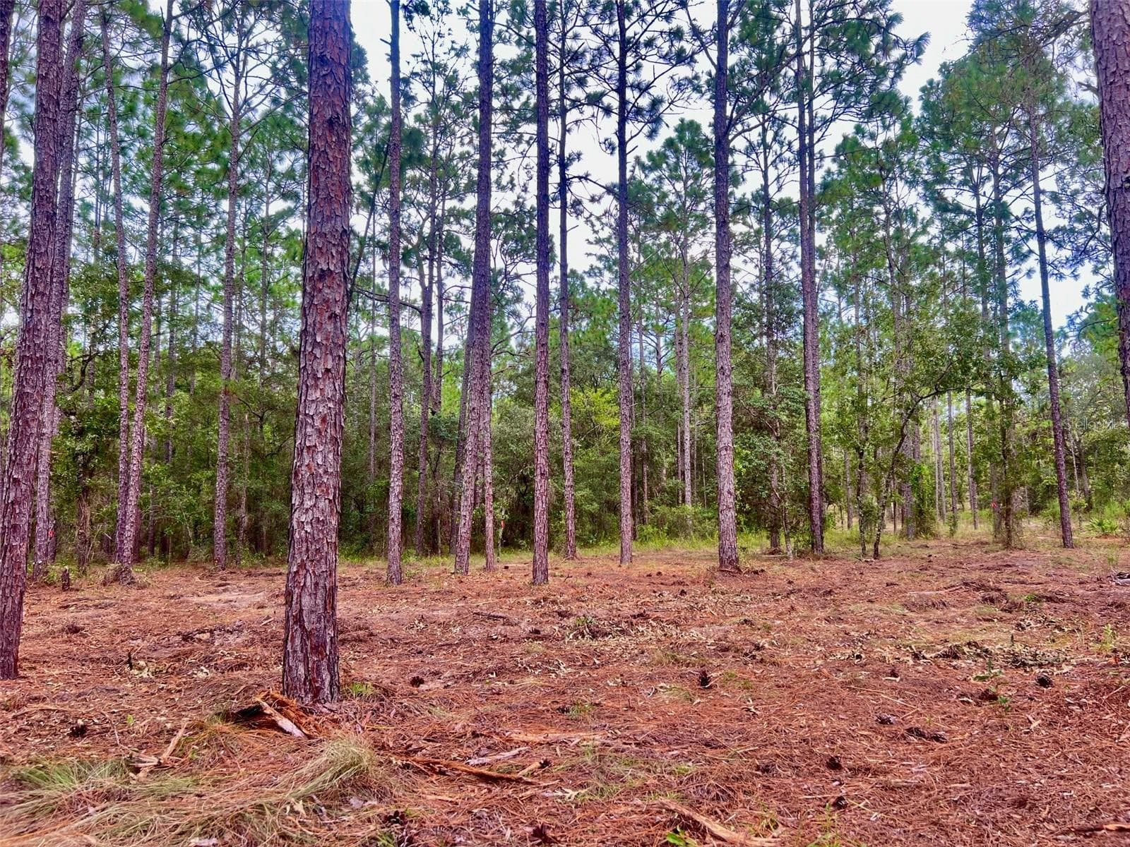 Land at 16 SW ANCHOR BLVD, DUNNELLON, photo 12 of 15