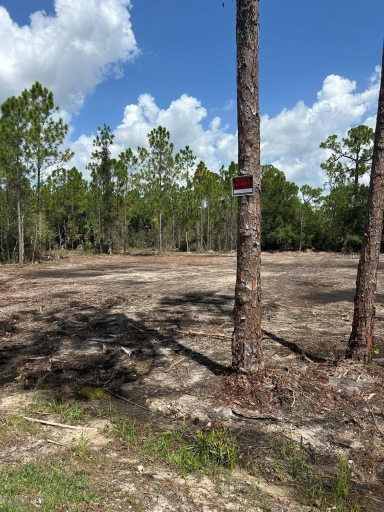 Land at 27292 CHULA VISTA DR, PUNTA GORDA, photo 5 of 7
