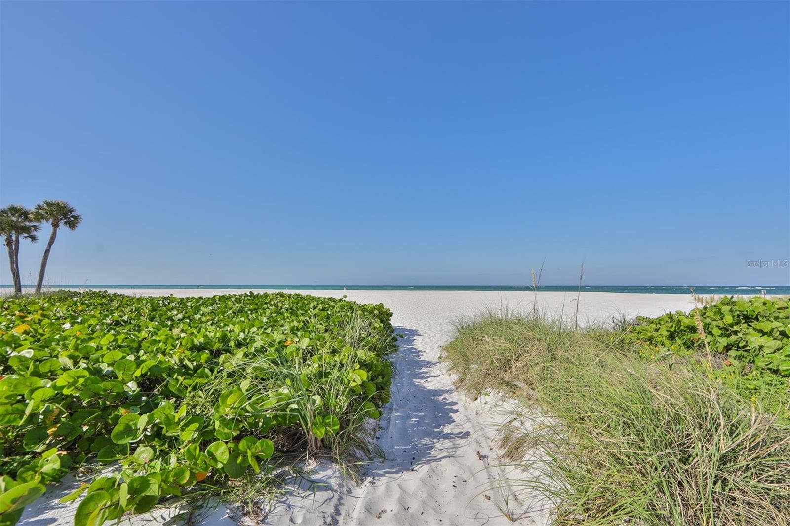 Clearwater Beach - 1359 HOWARD ST, CLEARWATER