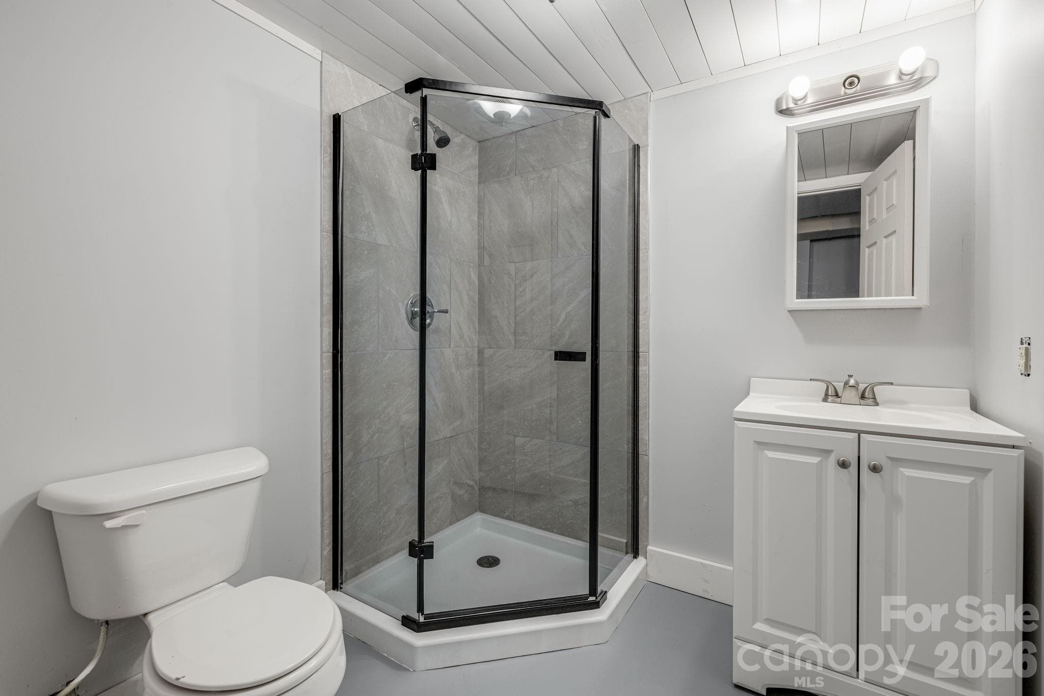 basement bathroom - 25 Hickory Tree Road, Asheville