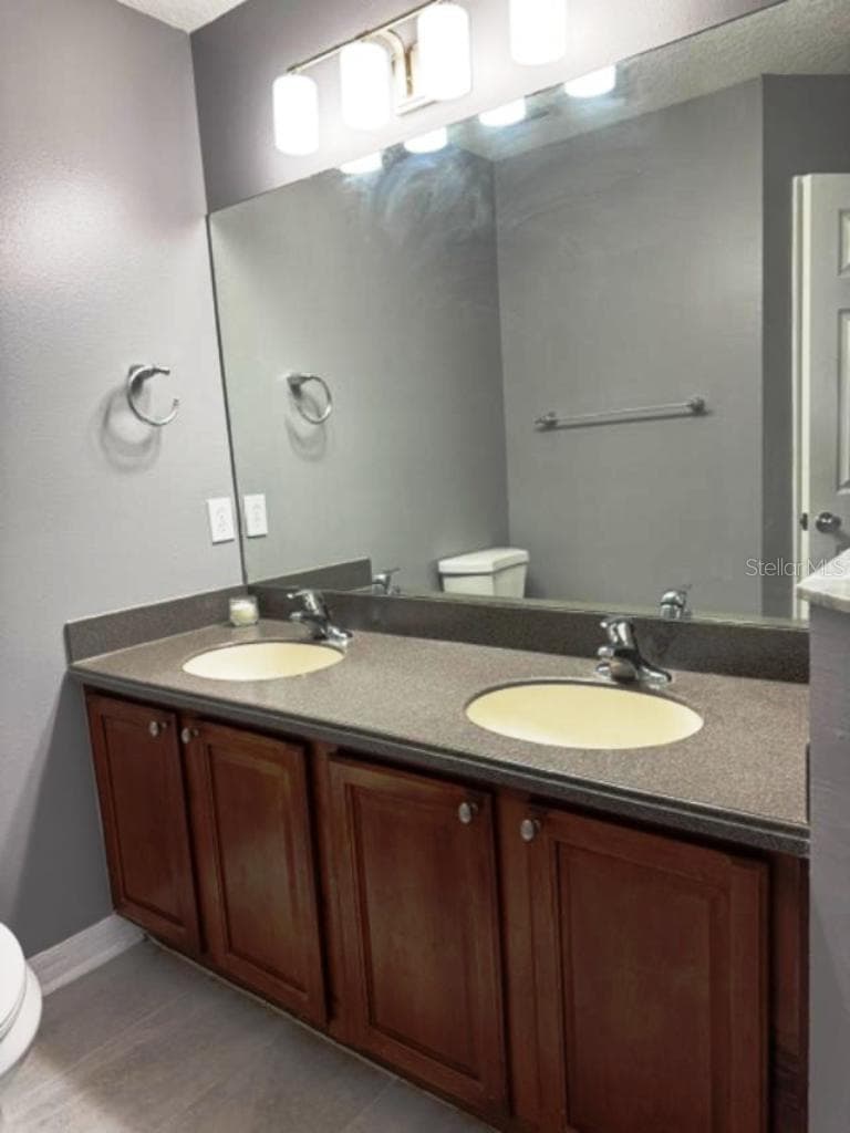Master vanity - 8542 BRUSHLEAF WAY, TAMPA
