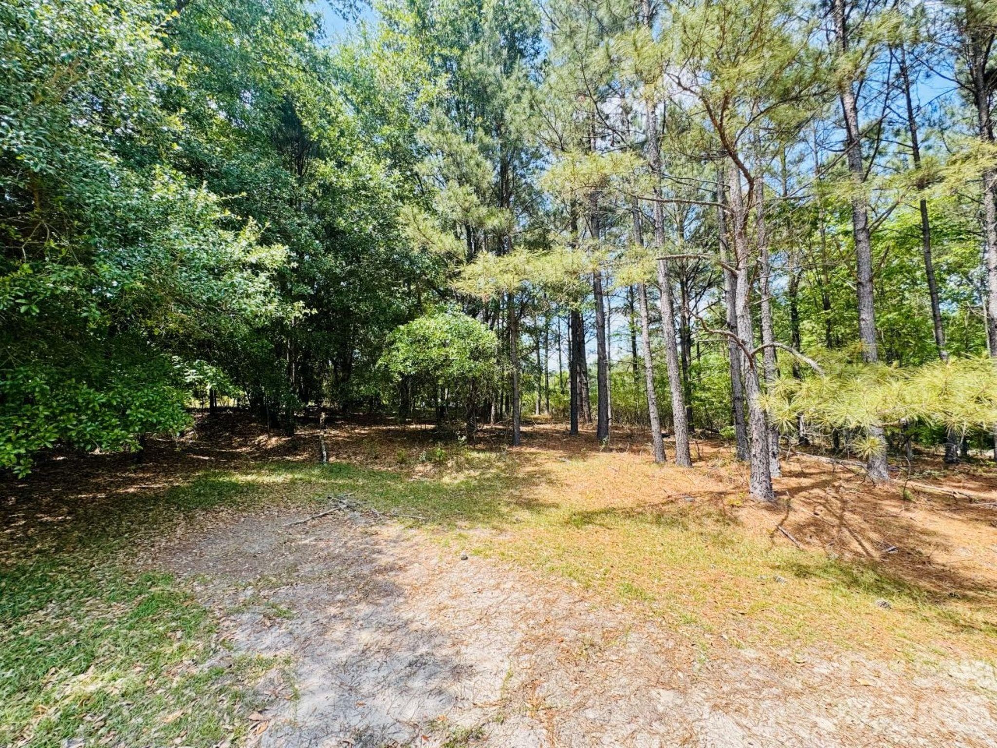 Lot at 385 Elbert Baskins Road, Cheraw, photo 6 of 11