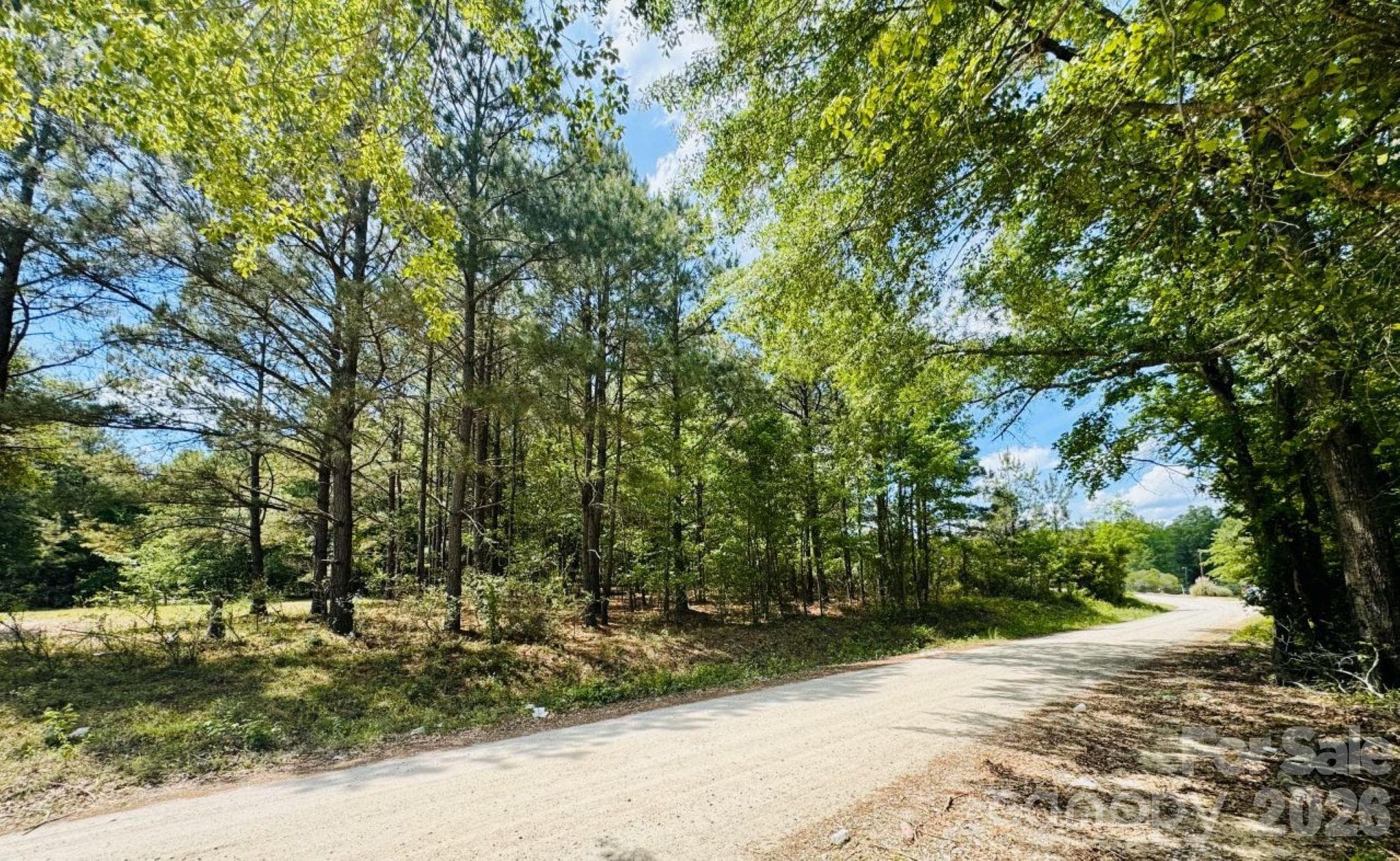 Lot at 385 Elbert Baskins Road, Cheraw, photo 11 of 11