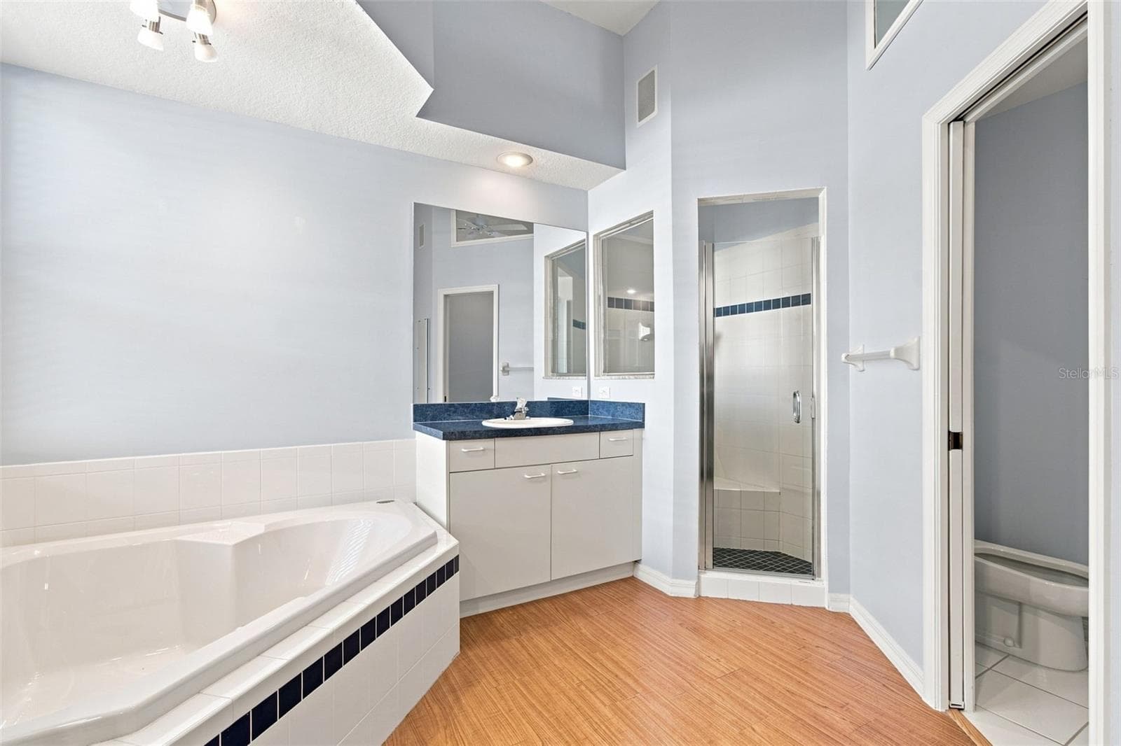 Primary Bathroom - 928 OAKVIEW RD, TARPON SPRINGS