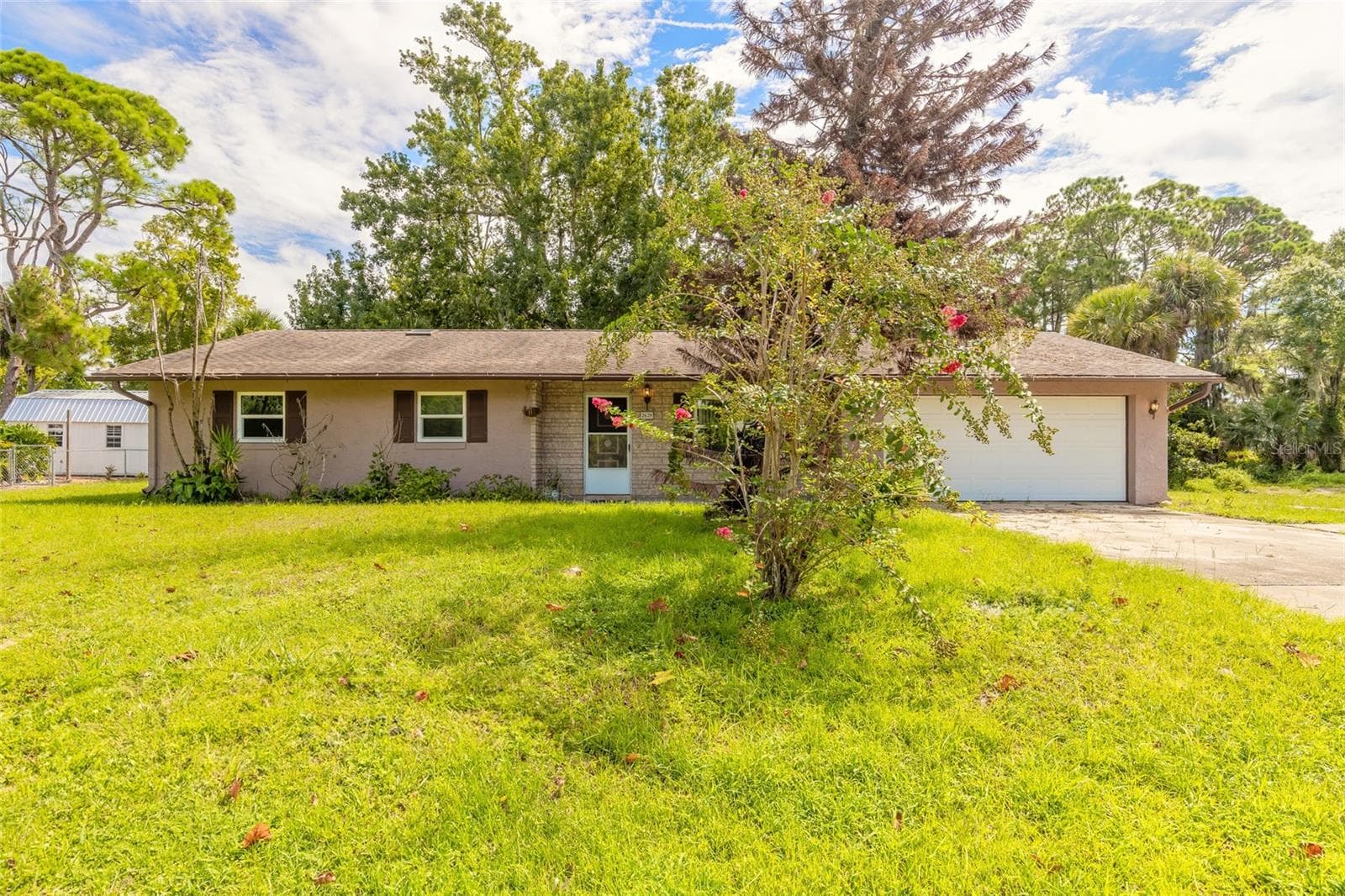 2629 UMBRELLA TREE DR