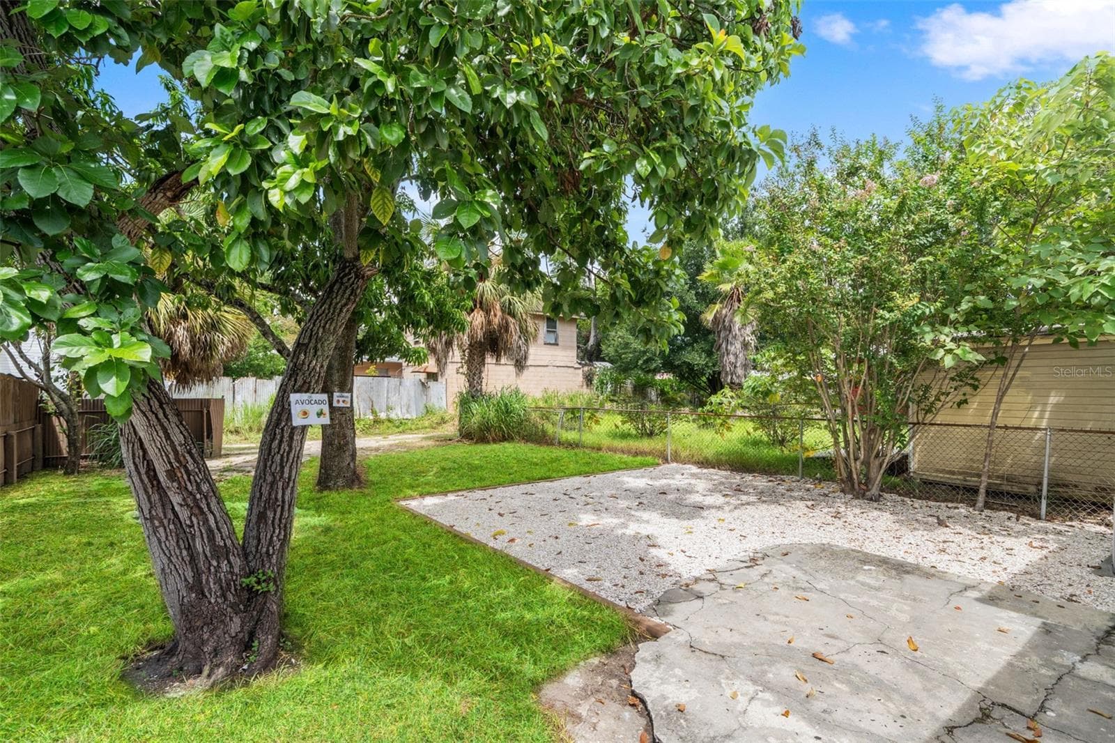Backyard with fruit trees (grass enhanced) - 1310 E 15TH AVE, TAMPA