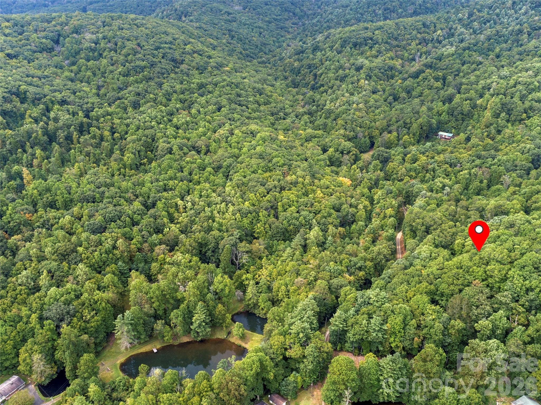 Acreage at 000 Pond Road, Spruce Pine, photo 6 of 14