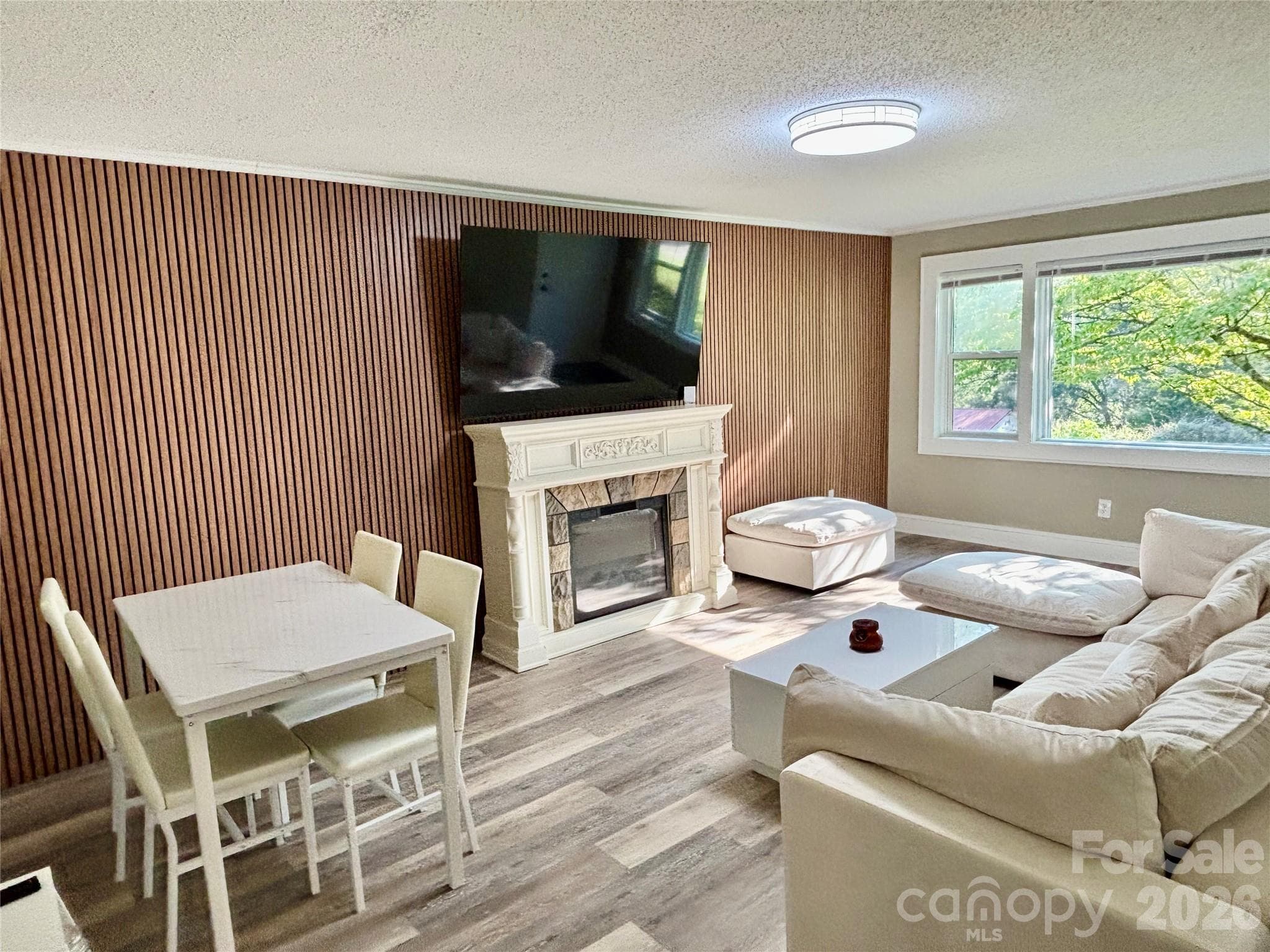 Living area with lots of windows and electric Fireplace - 6622 Mountain Grove Road, Hickory