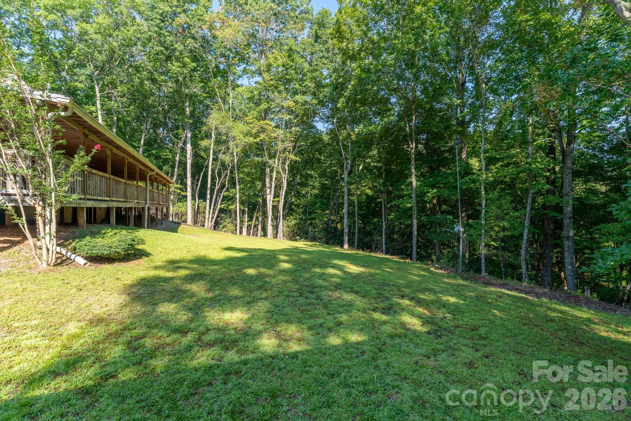 Backyard area, there is still more room to clear if you want too - 1886 Tanasee Gap Road, Balsam Grove
