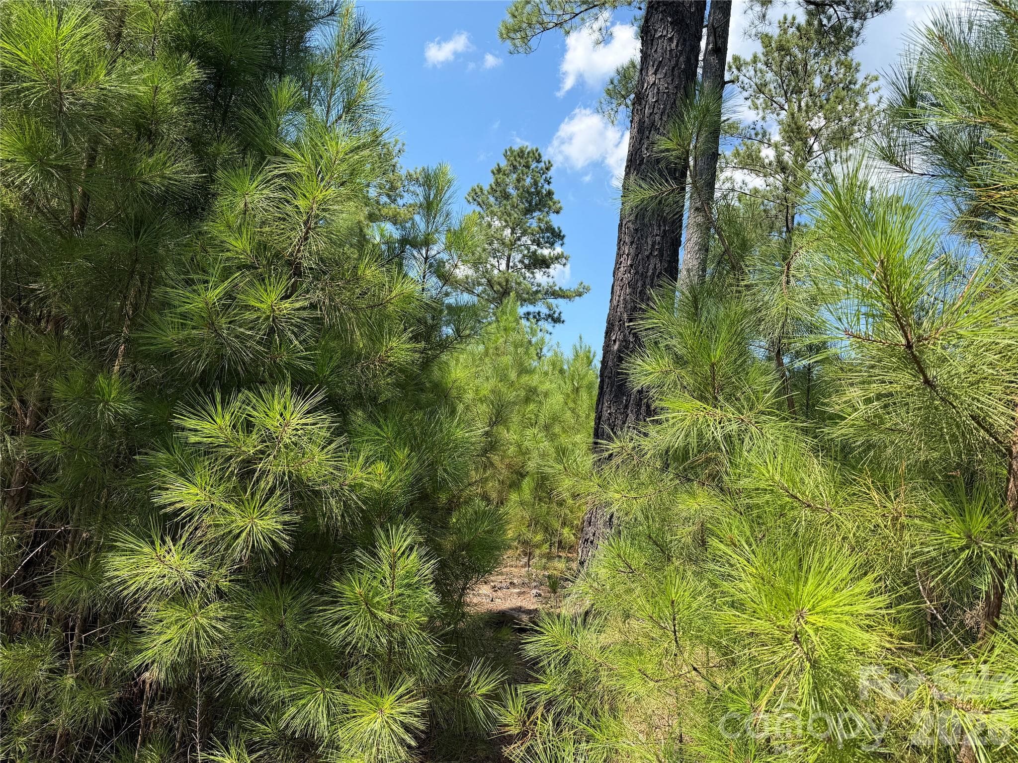 Lot at V/L Coveside Drive, Granite Falls, photo 3 of 5