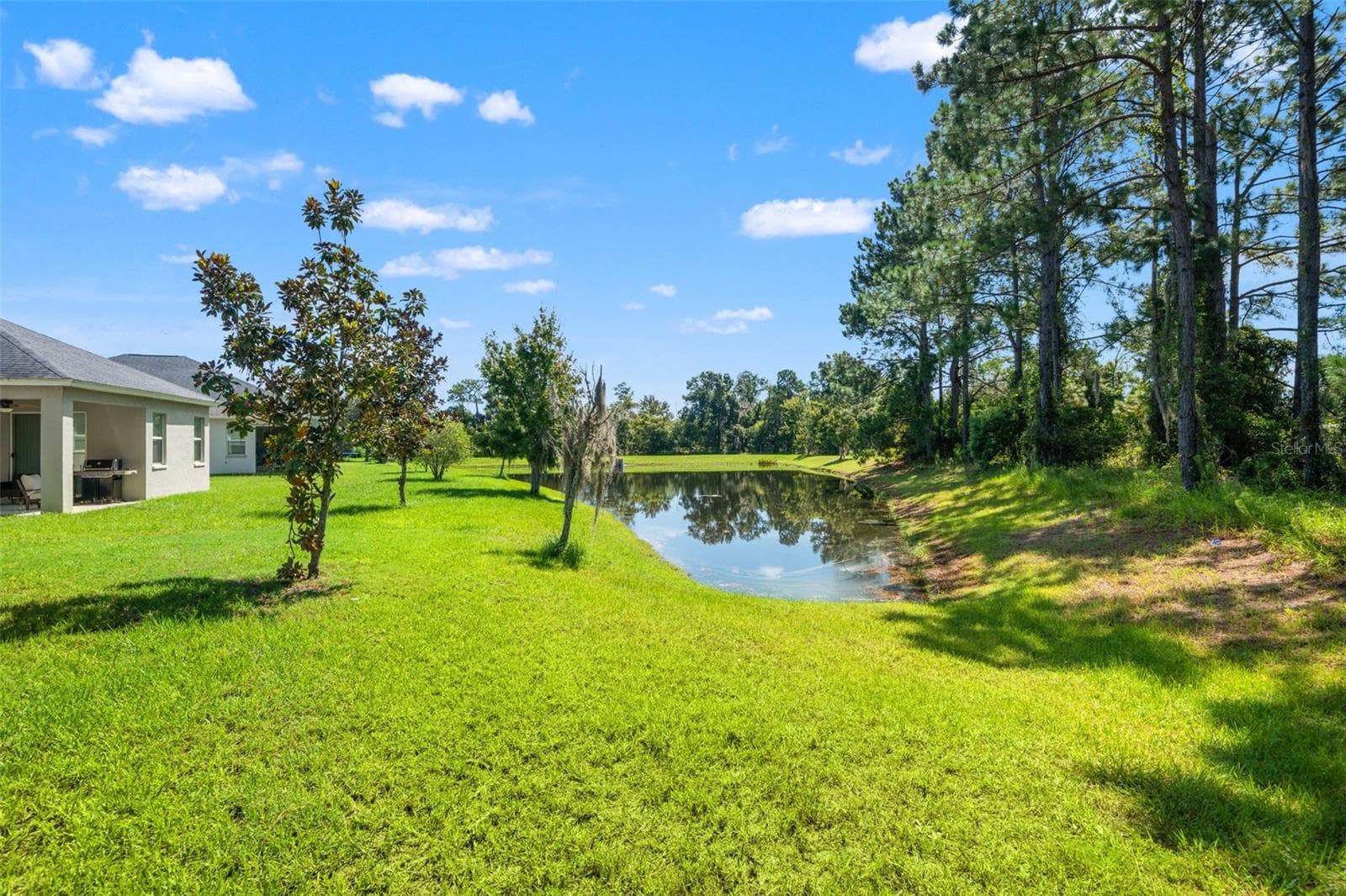 Single Family Residence at 19620 LONESOME PINE DR, LAND O LAKES, photo 37 of 74