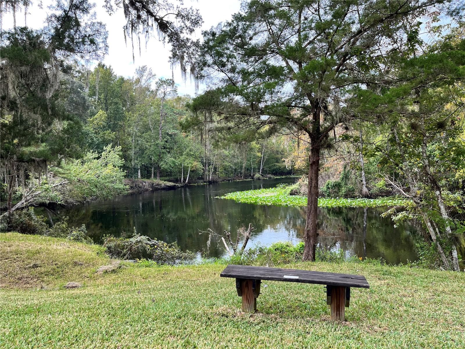 Land at 10226 NE 28TH LOOP, SILVER SPRINGS, photo 50 of 76