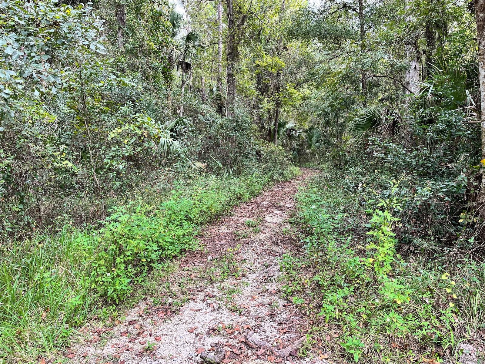 Land at 10226 NE 28TH LOOP, SILVER SPRINGS, photo 53 of 76