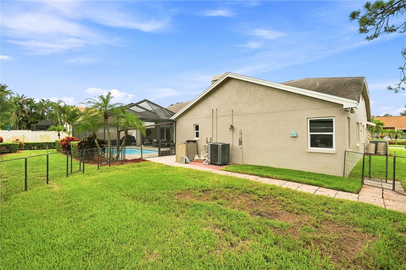 small dog run in the back yard - 679 LITCHFIELD LN, DUNEDIN