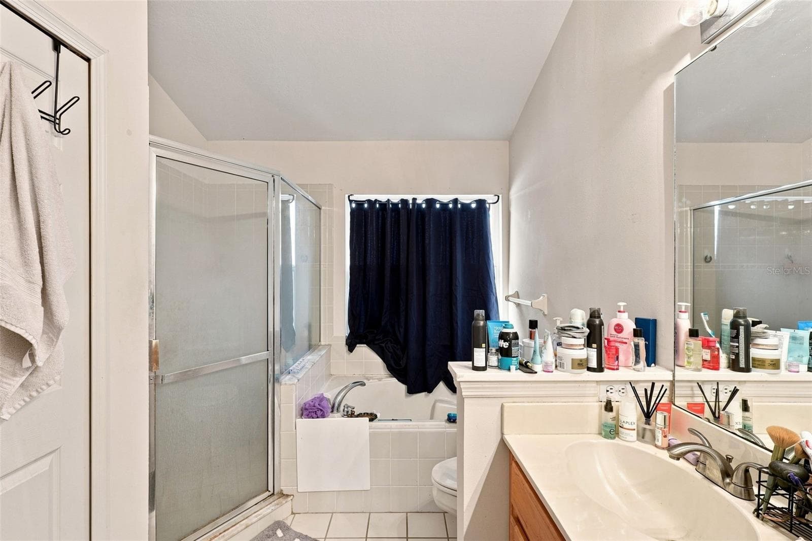 The primary bath also features a separate shower and soaking tub. - 13637 EMERALDVIEW DR, ORLANDO
