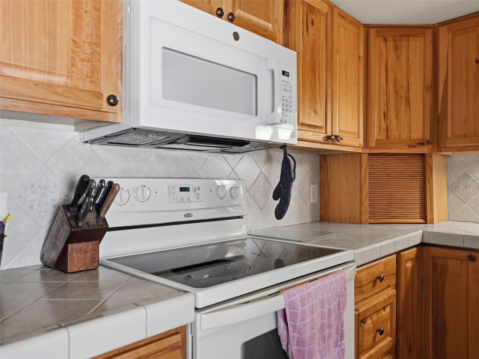 Single Family Residence at 11121 ROLLINGWOOD DR, PORT RICHEY, photo 11 of 31