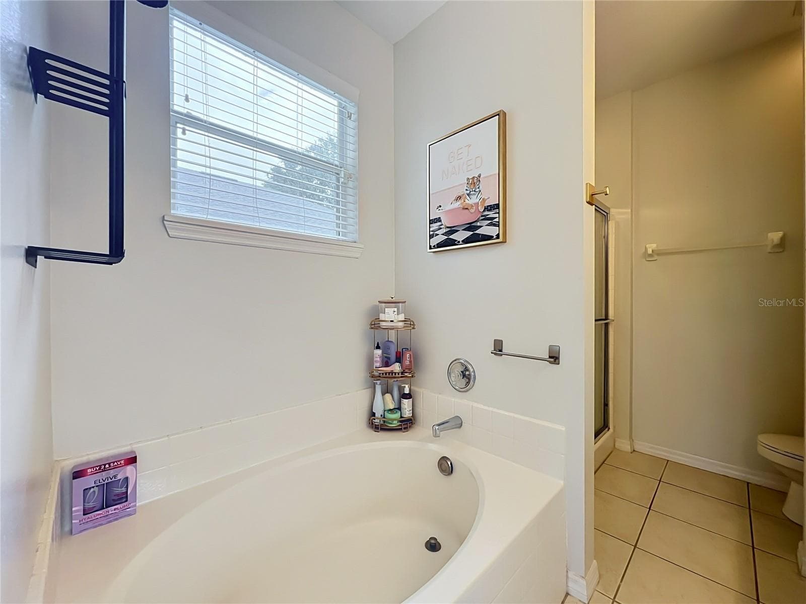 Single Family Residence at 912 MAGNOLIA BLOSSOM CT, APOPKA, photo 28 of 56