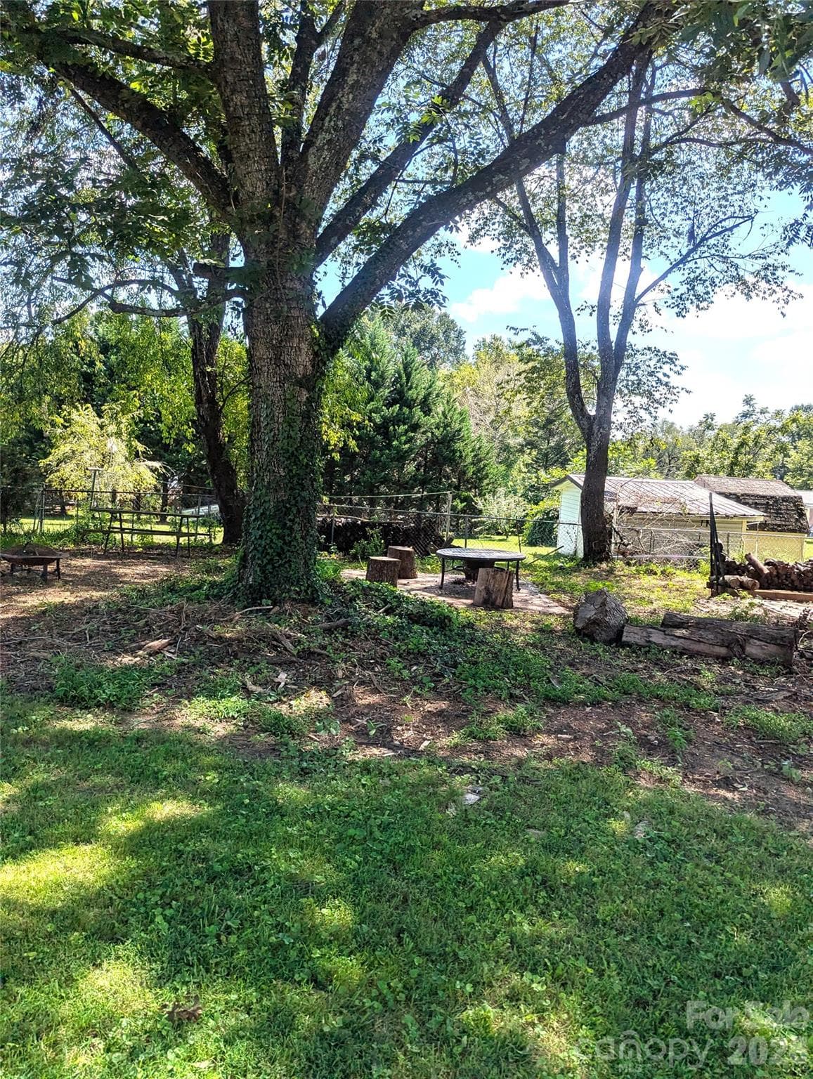 shady picnic area in backyard - 605 Lincoln Lane SW, Lenoir