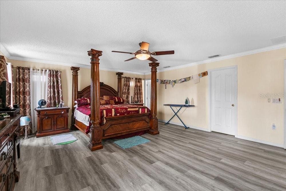 Primary Bedroom - 3531 LINNET CT, KISSIMMEE