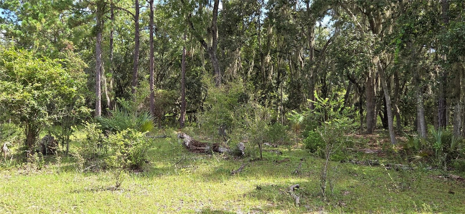 Land at 10442 E MOCCASIN SLOUGH RD, INVERNESS, photo 7 of 13