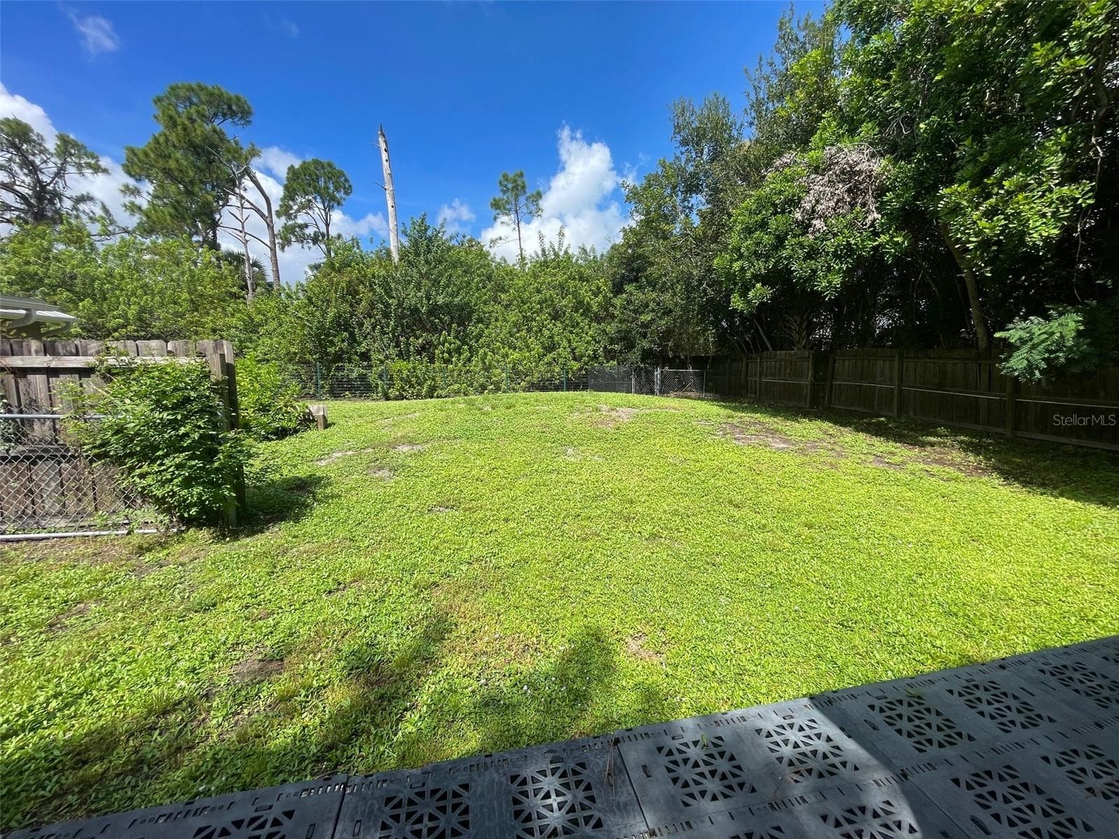 Back yard - 23320 VAN BUREN AVE, PORT CHARLOTTE