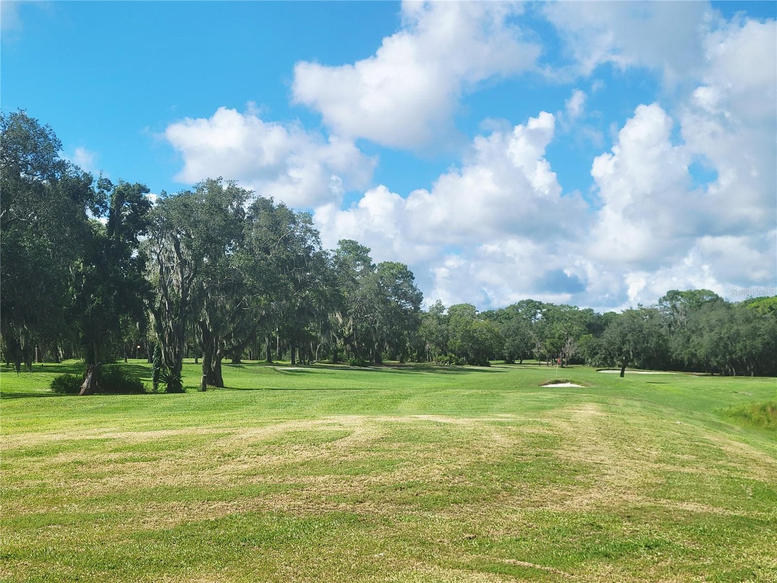 Hope to see you soon! - 9022 LINGROVE RD, WEEKI WACHEE
