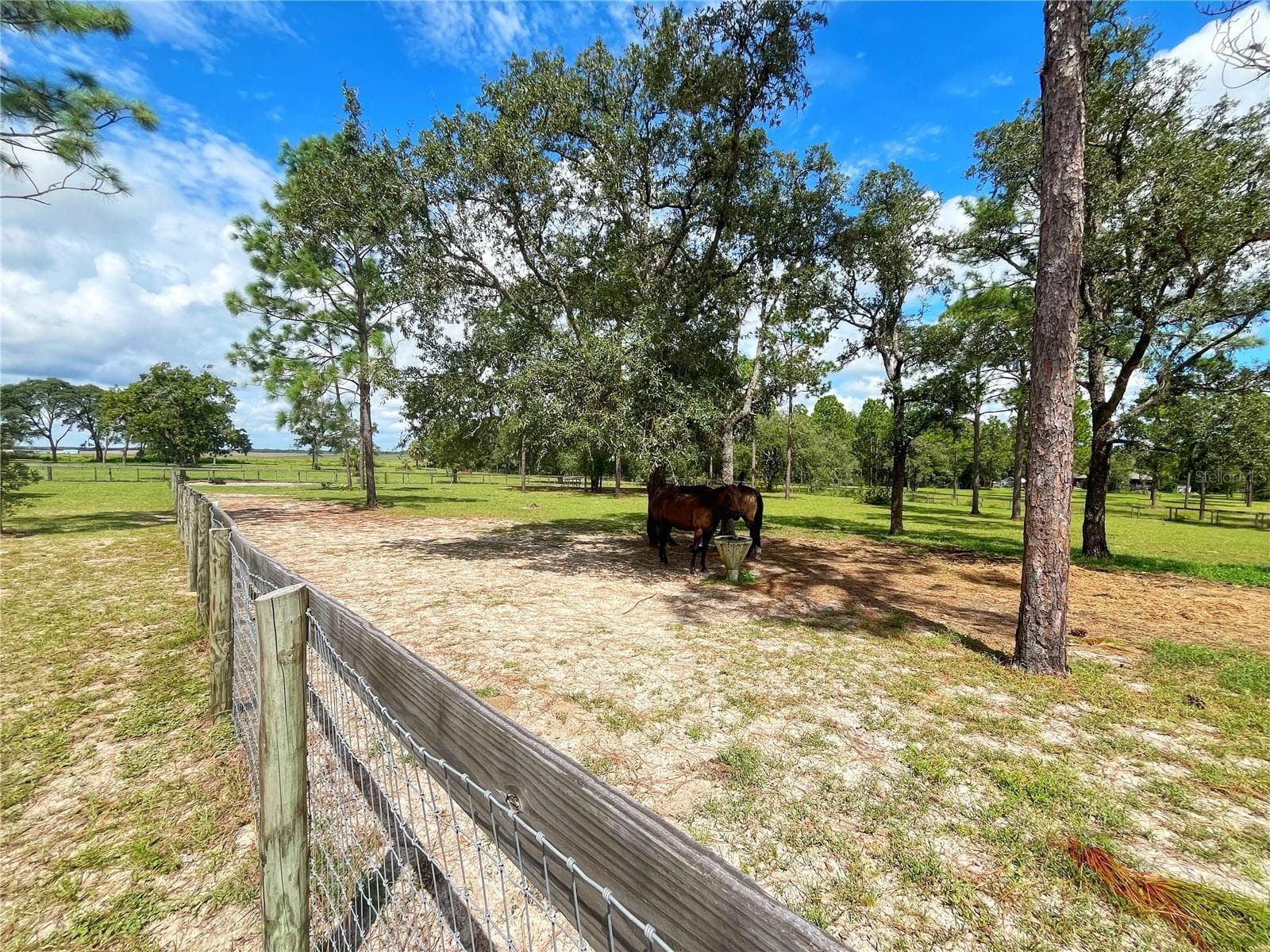 Single Family Residence at 13591 SE 85TH PL, DUNNELLON, photo 61 of 76