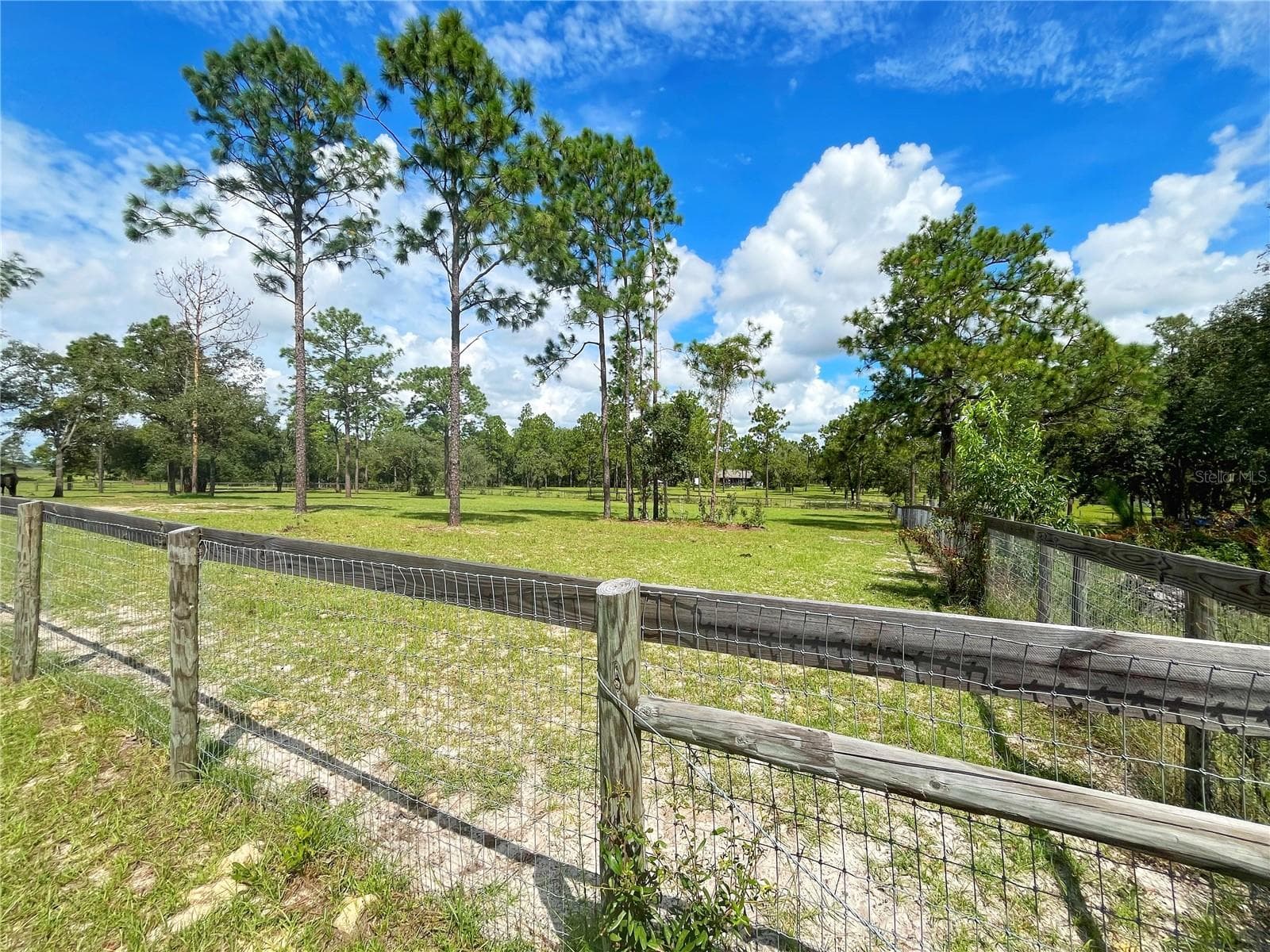 Single Family Residence at 13591 SE 85TH PL, DUNNELLON, photo 68 of 76