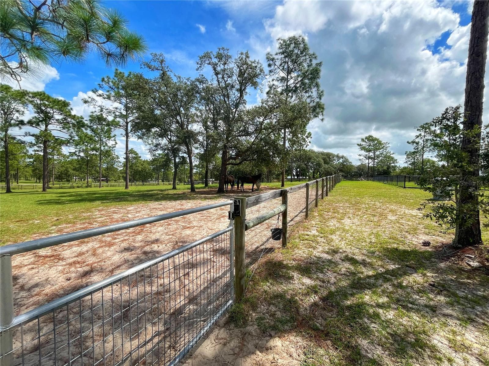 Single Family Residence at 13591 SE 85TH PL, DUNNELLON, photo 69 of 76