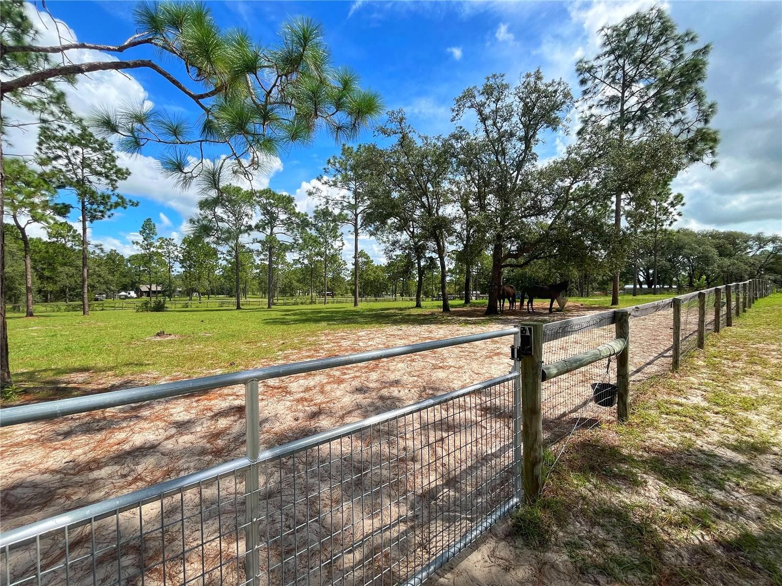 Single Family Residence at 13591 SE 85TH PL, DUNNELLON, photo 70 of 76