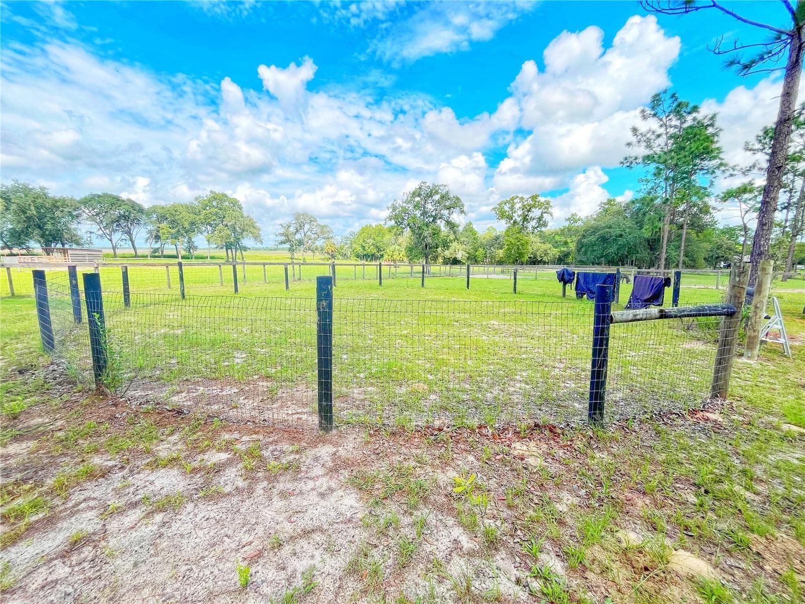 Single Family Residence at 13591 SE 85TH PL, DUNNELLON, photo 75 of 76