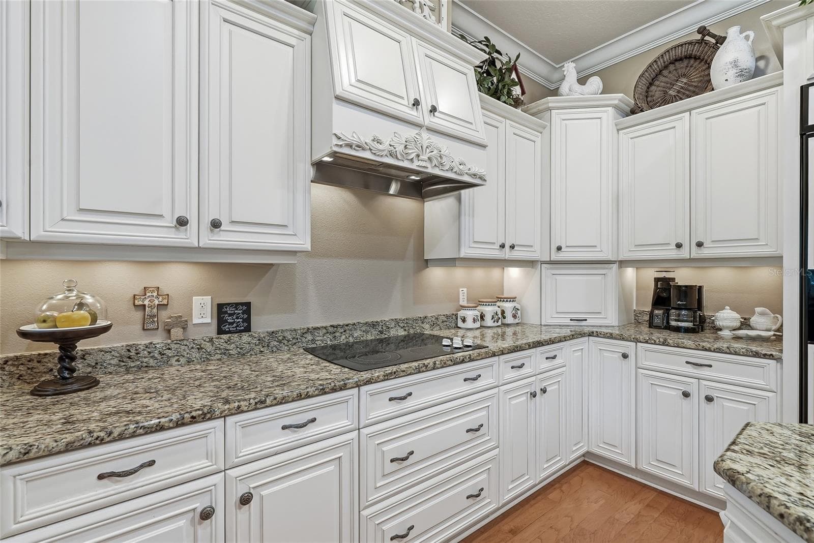 Cooktop & Range Hood - 18350 HANCOCK BLUFF RD, DADE CITY