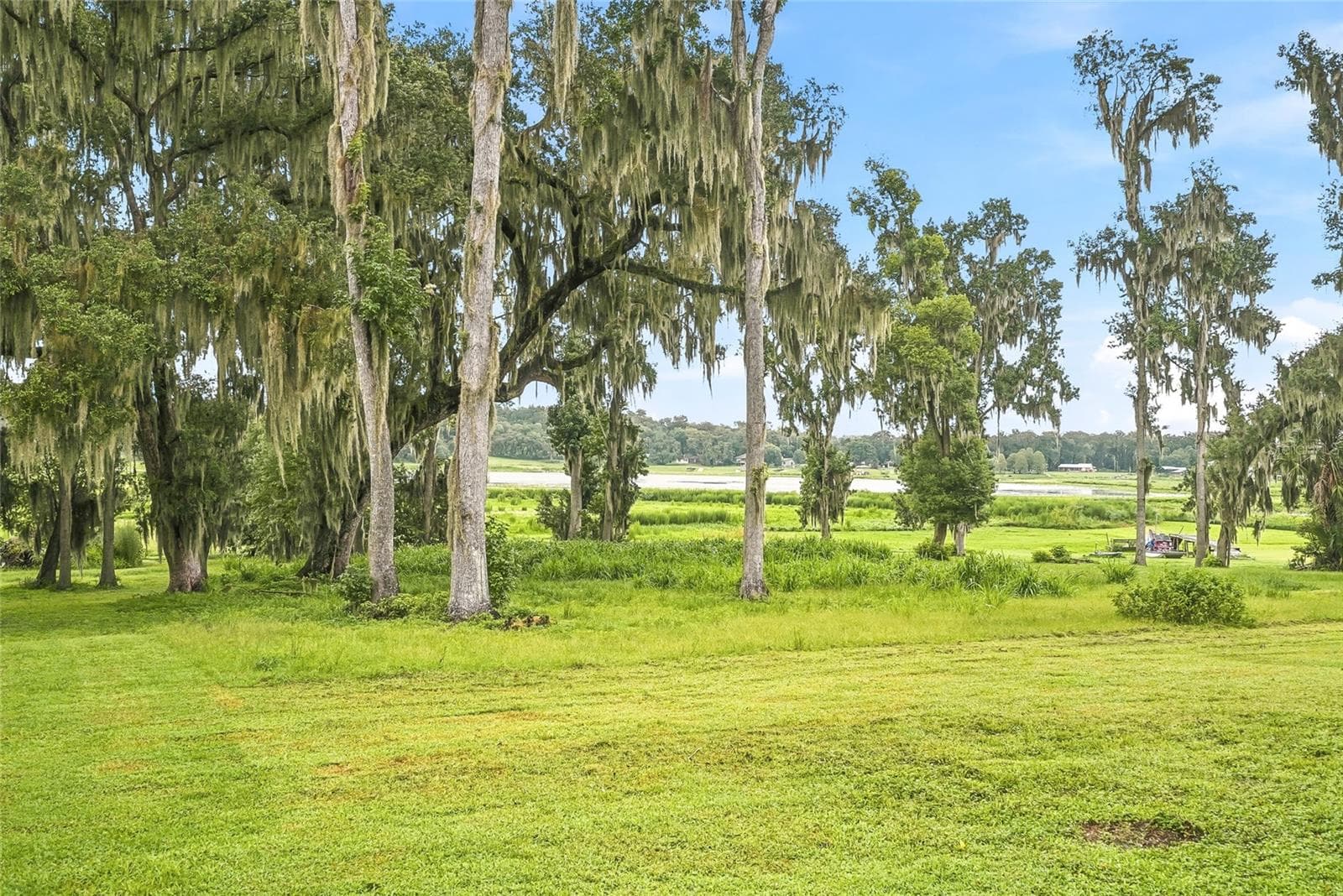 View from Back Deck - 18350 HANCOCK BLUFF RD, DADE CITY
