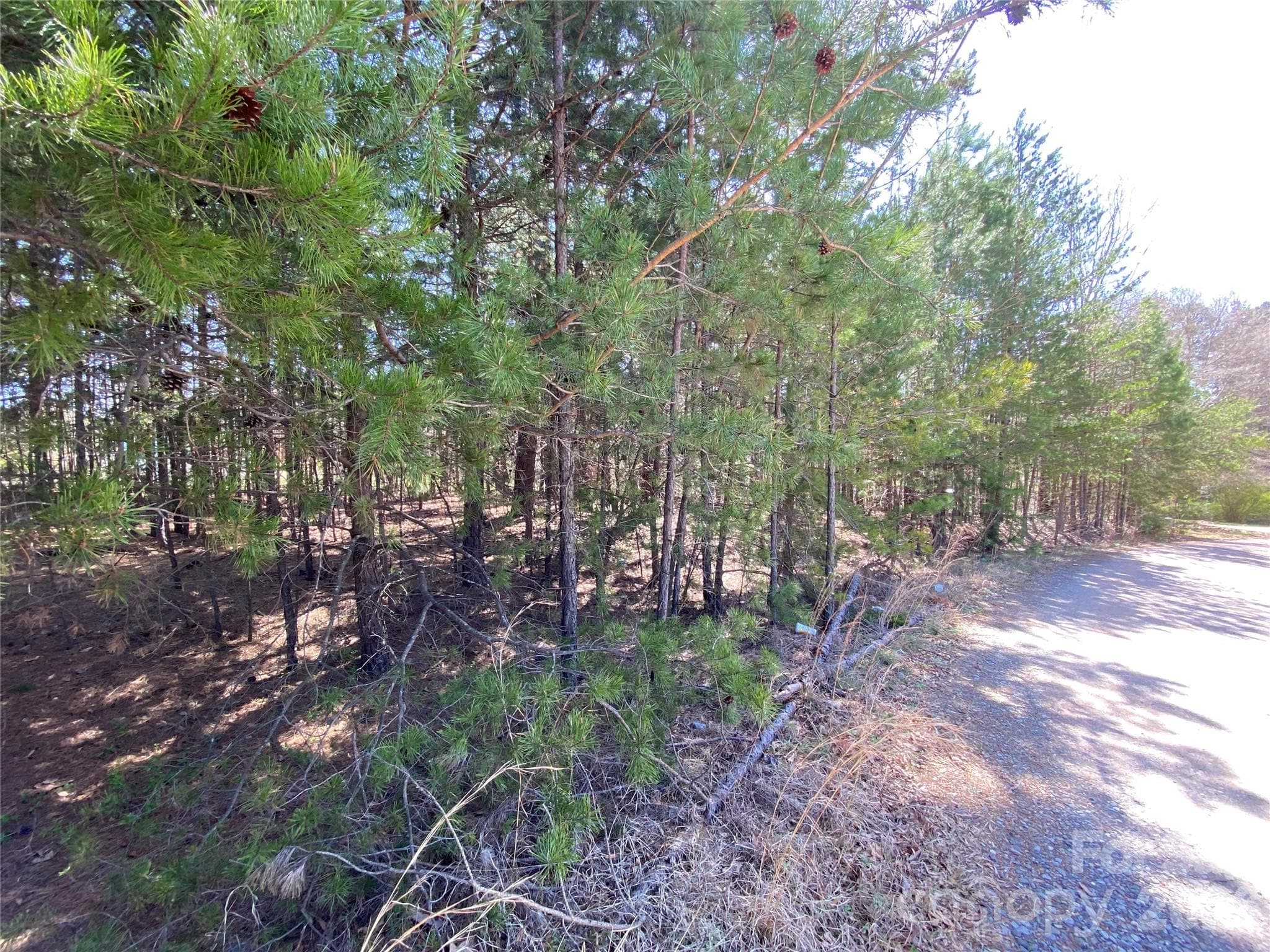 Next to 1670 Buck Oak Road