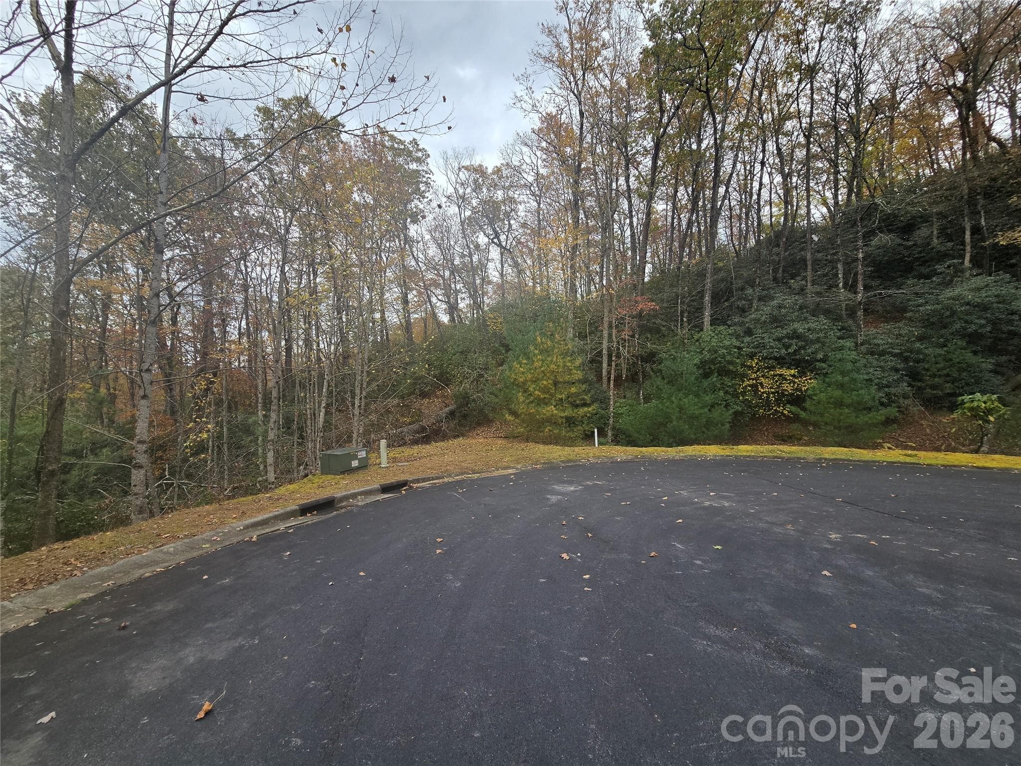 0 Shining Rock Path