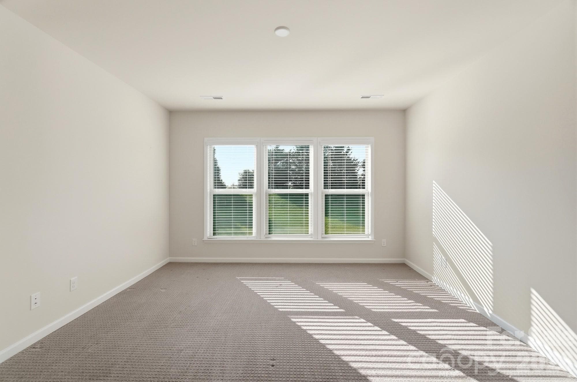 Primary bedroom - 1620 Red Leaf Drive, Fort Mill
