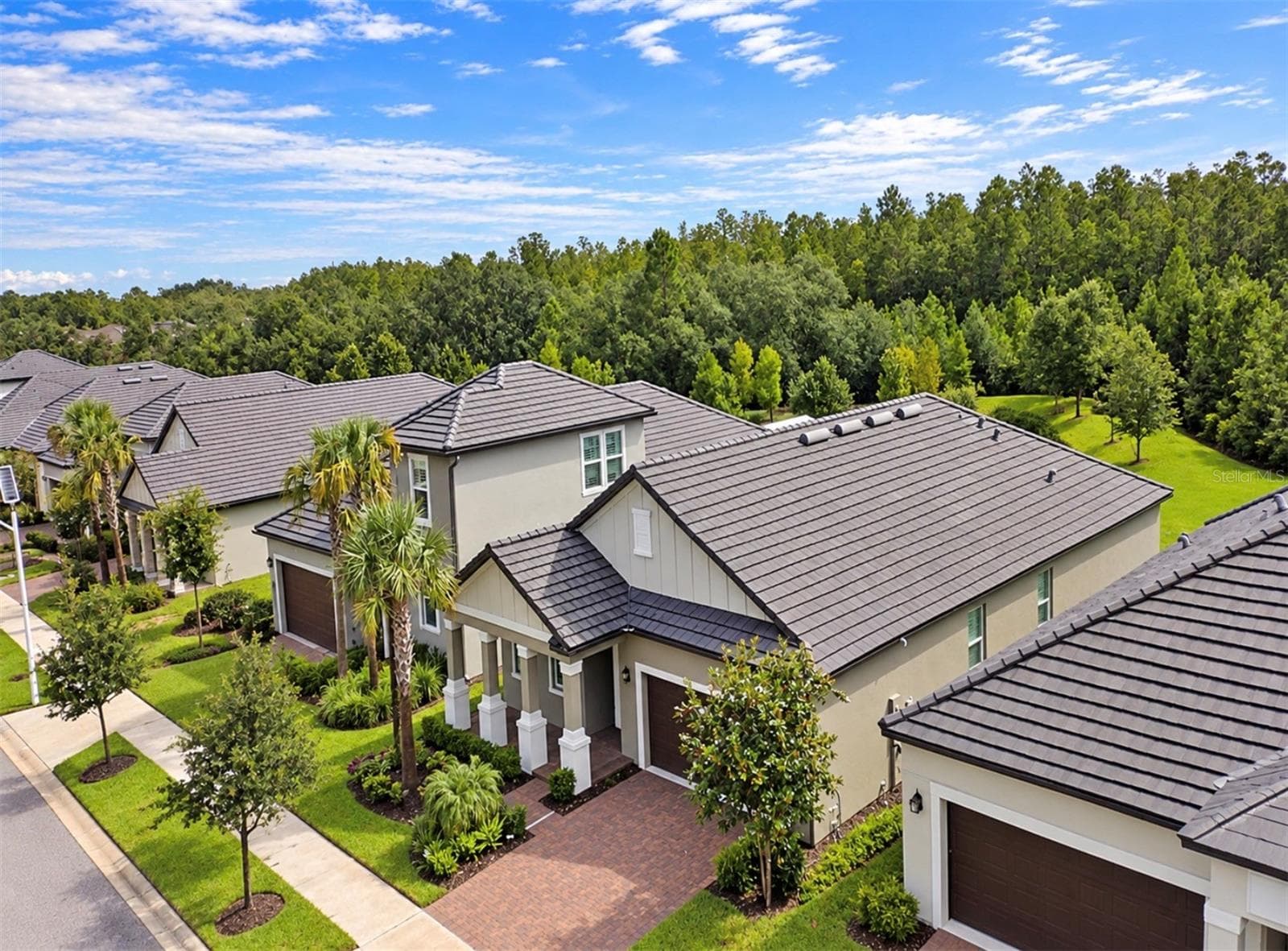 Single Family Residence at 10060 BANYAN BREEZE BLVD, LAND O LAKES, photo 32 of 41