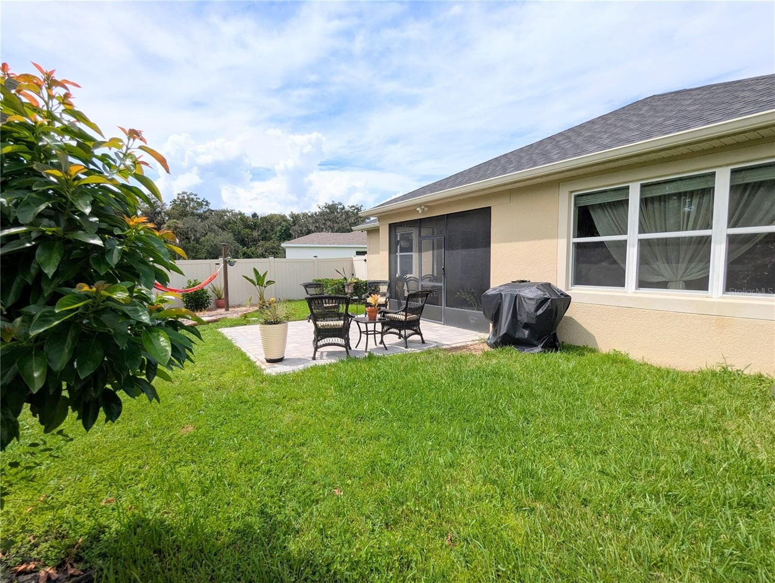 Plantain tree, mango tree, and lemon tree - 2333 FARNHAM DR, OCOEE