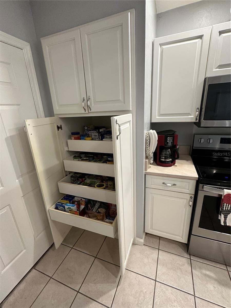 Pantry with wide pull out drawers - 11793 CREEK DR, ALACHUA