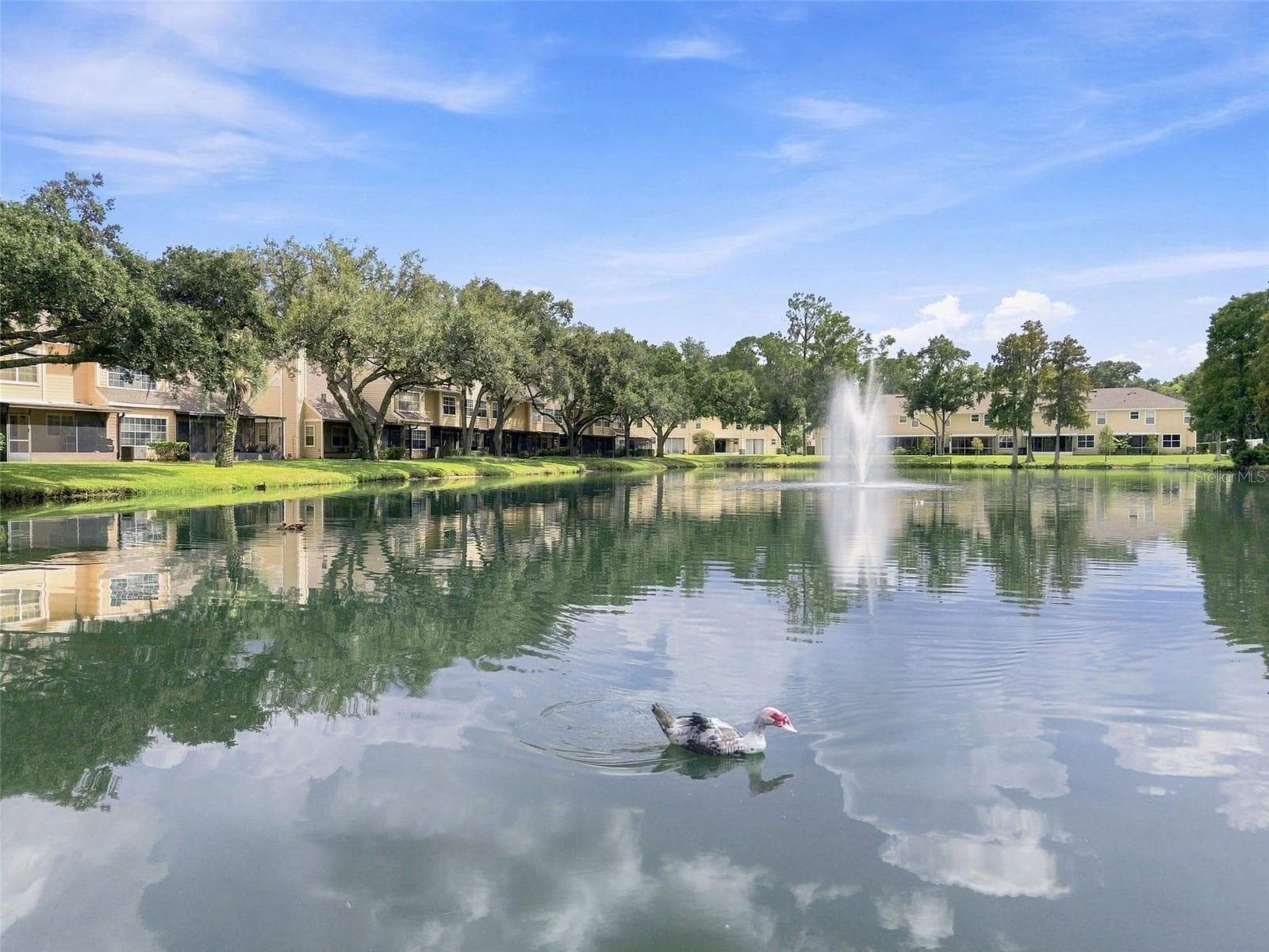 Condominium at 1356 BIG PINE DR #1356, VALRICO, photo 54 of 91