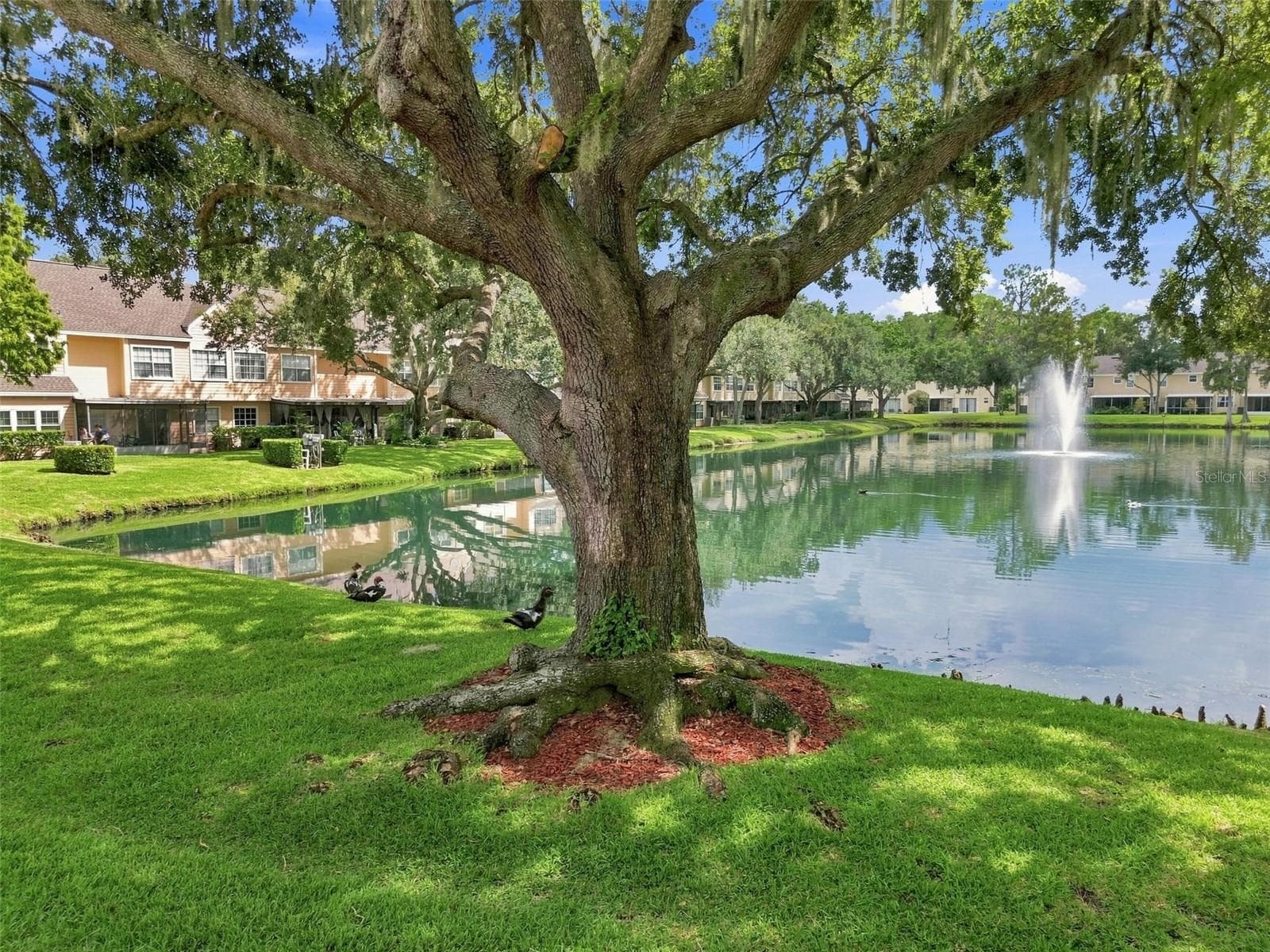 Condominium at 1356 BIG PINE DR #1356, VALRICO, photo 78 of 91