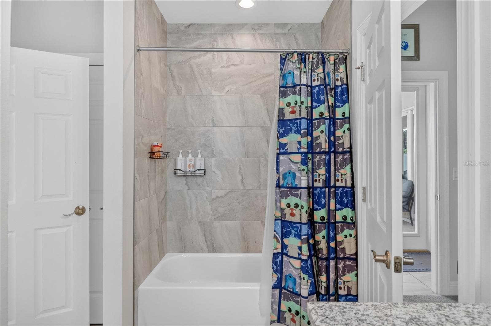 Single Family Residence at 2985 BREEZY MEADOWS DR, CLEARWATER, photo 31 of 48
