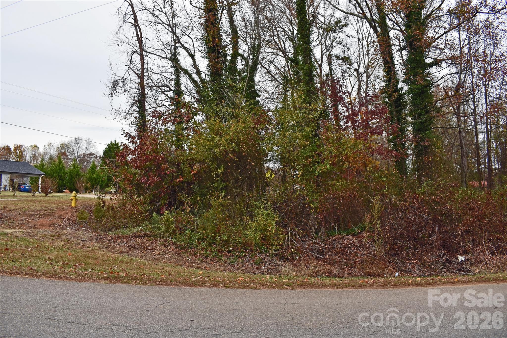 00 Horseshoe Lake Road